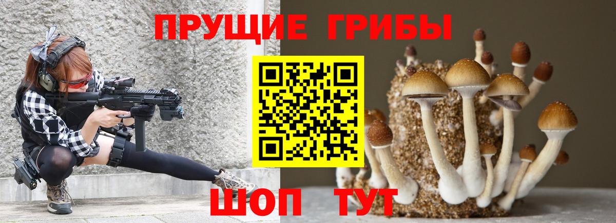 Вятские Поляны  Псилоцибиновые грибы мухоморы  Вход с VPN 